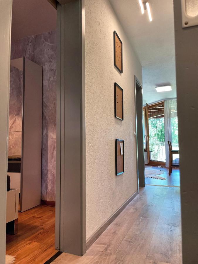 Viktor Apartment Titisee-Neustadt Dış mekan fotoğraf