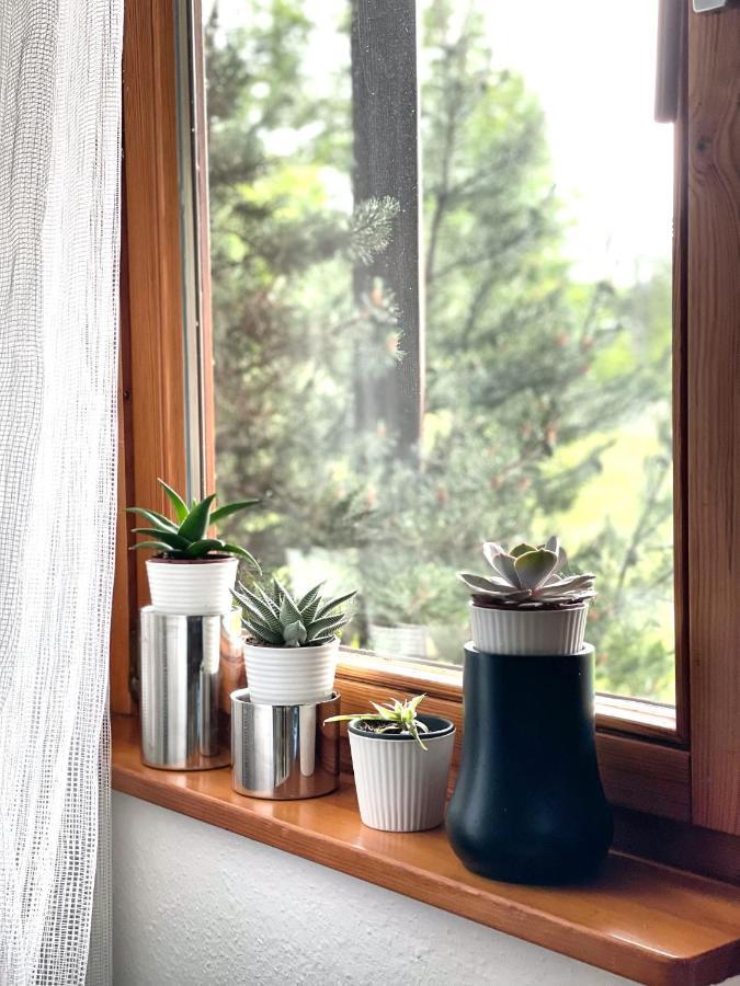 Viktor Apartment Titisee-Neustadt Dış mekan fotoğraf